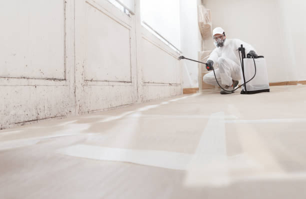 Black mold remediation team in Harrisburg